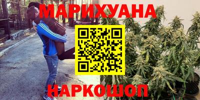 прущие крисы Коммунар