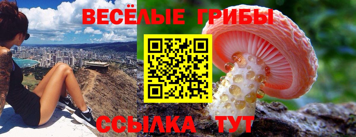Галлюциногенные грибы MAGIC MUSHROOMS Щёлково